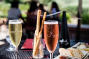 澳门足球波胆推荐网，博彩中心的智慧与创新澳门足球波胆推荐网