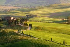 足球波胆套利方法，轻松掌握高概率盈利的技巧足球波胆套利方法